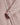 CHEMISE PORTUGUESE FLANNEL LOBO OLD ROSE